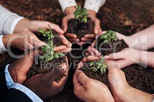 Work together, grow together. Cropped shot of a group of businesspeople holding plants growing out of soil.