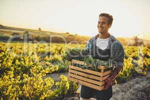 Enjoying the fruits of his labor. Shot of a young man holding a crate full of freshly picked produce on a farm.