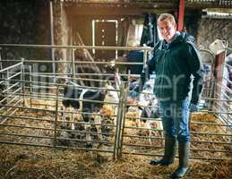 Quality farming produces quality cows. Shot of a farmer tending to the calves on a dairy farm.