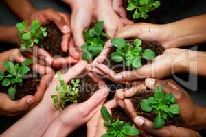 Our precious earth. Shot of a group of people each holding a plant growing in soil.
