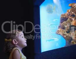 Fascinated by the sea life. Cropped shot of a little girl on an outing to the aquarium.