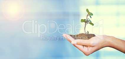 Youve got to nurture your business in the early stages. A young plant being held by a business professional.