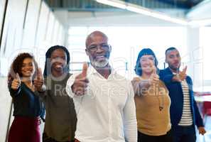 Team spirit is essential. Portrait of a group of creative businesspeople showing thumbs up.