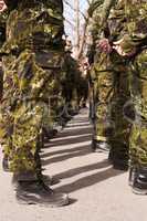 Time for inspection. A group of soldiers standing at attention.