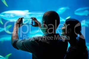 Sea-life snapshots. Shot of a young couple taking a snapshot of the fish in an aquarium.