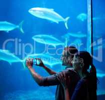 Capturing marine memories. Shot of a young couple taking a snapshot of the fish in an aquarium.