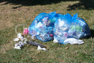 garbage on grass in park at dry sunny summer day