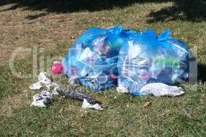 garbage on grass in park at dry sunny summer day
