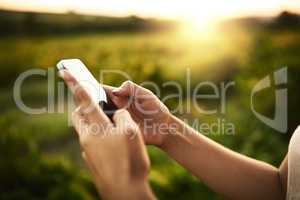 Definitely worth taking a picture. Unrecognizable shot of hands holding a cellphone and taking a picture with vegetation in the background.