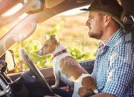 My driveway is its own long dirt road. Shot of a man and his dog driving out in the countryside.