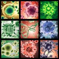 Is your immune system ready. A combined image of various micro organisms as seen under a microscope in color.