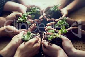 Growing a greener tomorrow together. Closeup shot of a group of people each holding a plant growing in soil.