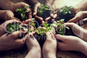 Handle the future with care. Closeup shot of a group of people each holding a plant growing in soil.