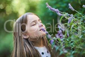 Enjoying the soothing scent of lavender. Cropped shot of a little girl smelling a lavender plant outside.