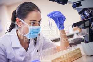 Dedicated to finding answers to scientific questions. Shot of a young scientist examining liquid in a test tube in a laboratory.