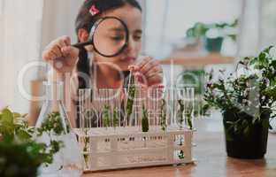 Shes got good analysis skills. Cropped shot of an adorable little girl looking through a magnifying glass while analysing plants from a test tube at home.