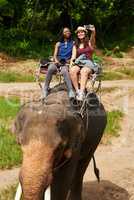 Weve got to capture this once in a lifetime opportunity. Cropped shot of young tourists taking a selfie while on an elephant ride through a tropical rainforest.