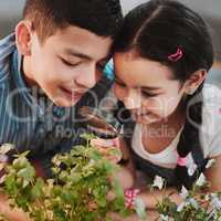 You can see everything so clearly. Cropped shot of two adorable young siblings looking through a magnifying glass while experimenting with plants at home.