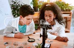 B is for botany. Shot of an adorable little boy and girl learning about plants at school.