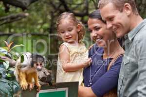 They finally understood the theory of evolution..... Cropped shot of a happy young family spending the day at a monkey sanctuary.