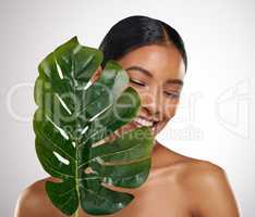 Mother nature knows best. Studio shot of an attractive young woman posing with a palm leaf against a grey background.