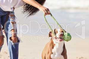 Give the ball back to me please. Shot of a woman playing with her pit bull at the beach.