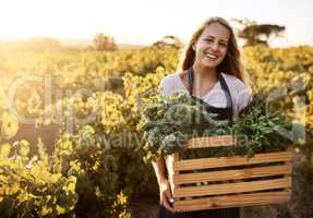 Grow your food organically. Shot of a young woman holding a crate full of freshly picked produce on a farm.