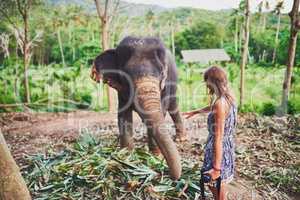 Some experiences cant be explained. Shot of a young tourist admiring an elephant in the jungle.