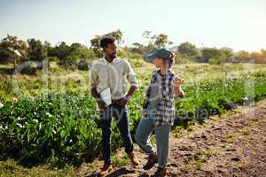 They're happy with life on the farm