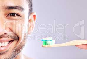 Your should brush and also visit the dentist regularly. Studio shot of a handsome young man holding up his toothbrush.