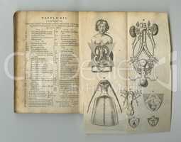 Medical journal. An old anatomy book with its pages on display.