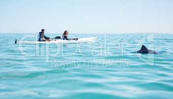 They spotted something in the deep blue water. Shot of a young couple spotting a dolphin while kayaking at a lake.