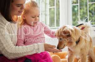 Its your pamper day. Shot of a little girl sitting on her mothers lap while brushing their puppy.