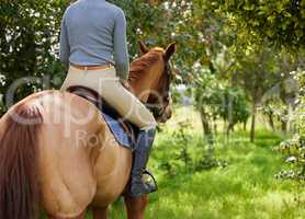 A good horse is hard to replace. Shot of a unrecognizable female riding a horse in a forest.