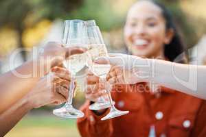 We werent sisters by birth but by choice. Shot of friends toasting in a park.