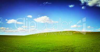 A field of green grass against a perfect bue sky - copyspaceA landscape photo of a green field and blue sky - ALL design on this image is created from scratch by Yuri Arcurs team of professionals for this particular photo shoot