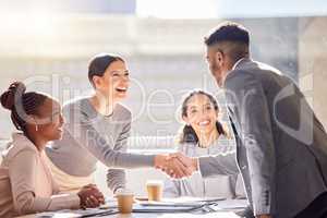 Its going to be an honour to work with you. Shot of two businesspeople shaking hands during a meeting in an office.