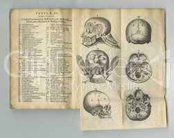 Weathered medical literature. An old anatomy book with its pages on display.