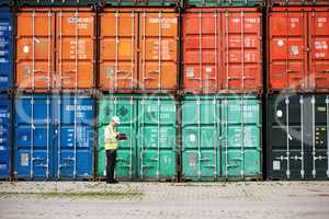 Concentration and hard work is key. A customs inspector standing and reviewing a tack of containers.