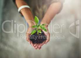 Handle your business with care and caution. High angle shot of a young businesswoman holding a plant growing in soil.