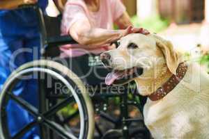 Hes not only mans best friend. Shot of a resident, her dog and a nurse outside in the retirement home garden.