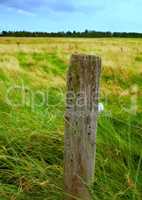Wooden post and electric fence in remote field, meadow in the countryside during the day. Fencing used as boundary to protect farm animals from escaping from green pasture and farmlands in the country