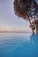 An infinity edge pool with trees against a blue sky background with copyspace. Beautiful outdoor swimming pool at a resort or luxury holiday villa against. Romantic getaway with a sea view in summer