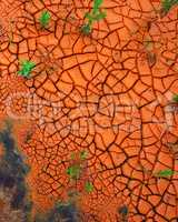 Plants growing through cracked dry land in a barren landscape. Closeup of an artistic image in bright rusty orange with copyspace. New growth symbolising endurance, bounce back, courage and strength
