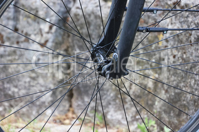 Fragment of a wheel with bicycle spokes