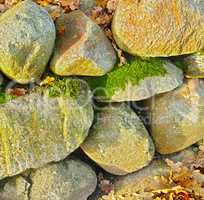 Closeup of a heap of rocks covered in green mold and autumn leaves. Stone boulders surrounded by dried fallen orange and yellow leaves in the fall season. Details of rough textures on stone