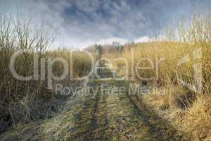 Vanishing dirt road leading though swamp land in early spring, Denmark. Swampy land and wetland against a cloudy overcast sky in nature. Wet and muddy path or rut through a field in the countryside