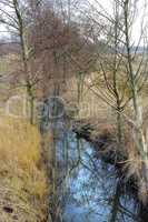 Wet farmland in early spring ,Jutland, Denmark. Abandoned wild tree branches growing near water source. Swamp riverbank for hikers to explore. Spooky abandoned land, scenic rural background wallpaper