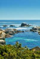 Landscape of many rocks in the ocean surrounded by green bushes or shrubs. Large stones or boulders making tidal pool. Smooth rocks of various shapes lying near coastal area in Hout Bay, Cape Town