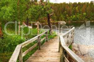 Wooden bridge beside a lake in a forest. Vibrant green wilderness landscape in Norway. Peaceful fishing spot on a cozy rural river with a wooden walkway. Hiking and exploring in nature trekking